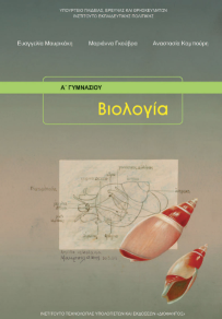 Εικόνα επιλογής